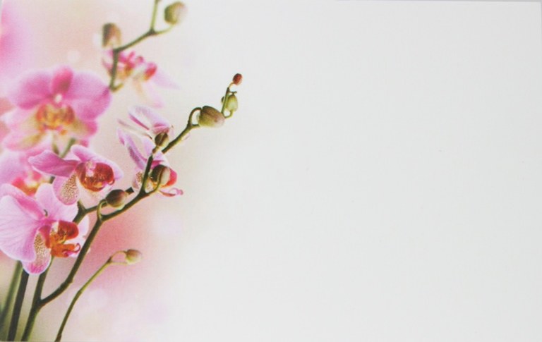 Picture of Florist Gift Cards Small x 50pcs